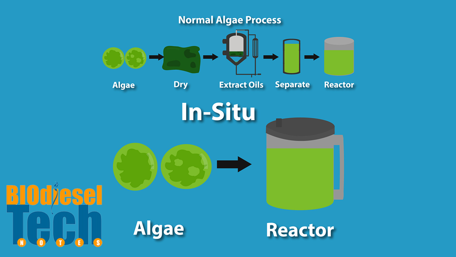 Biodiesel Production Methods